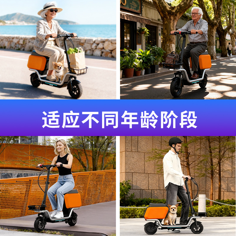 Scooter elétrico adulto com ca - Electric Scooter avaliação e preço
